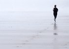 Keith Brown - Morning Run.jpg